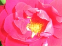 c00000051