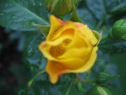 c00000054