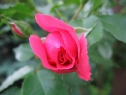 c00000055