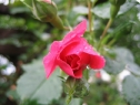 c00000057