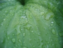 c00000061