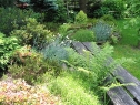 czerwiec06_18