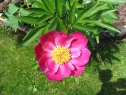 czerwiec06_19