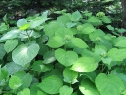 czerwiec06_20