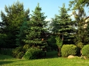 Obraz 447