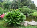 P1080162_resize