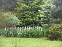 P1080204_resize