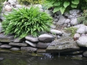 P1080210_resize