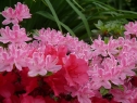 P1080213_resize
