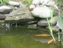 P1080216_resize