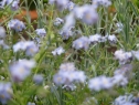 P1080221_resize