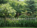 P1080232_resize