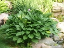 P1080244_resize