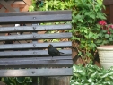 P1080262_resize