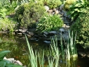 P1080264_resize