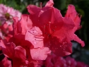 P1080271_resize