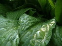 P1080272_resize