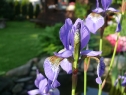 P1080274_resize