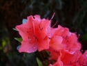 P1080276_resize