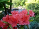 P1080277_resize