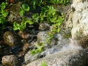 P1080279_resize
