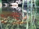 P1080288_resize