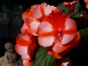 P1080305_resize