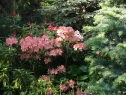 P1080321_resize