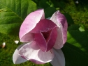 P1080323_resize