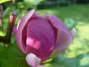 P1080325_resize