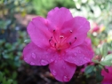 P1080326_resize