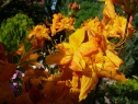 P1080336_resize