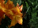 P1080337_resize
