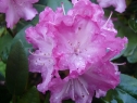P1080343_resize