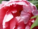 P1080357_resize