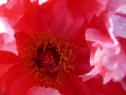 P1080359_resize