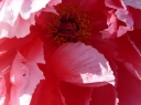 P1080361_resize