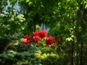 P1080383_resize
