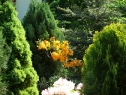P1080384_resize