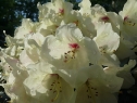 P1080397_resize