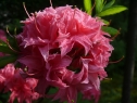 P1080399_resize