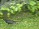 P1080408_resize