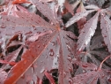 P1080439_resize