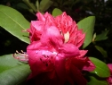 P1080446_resize