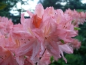 P1080448_resize