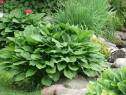 P1080508_resize