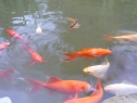 P1080511_resize