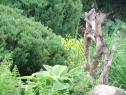P1080539_resize