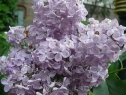 P1080599_resize