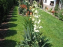 lipiec06_00